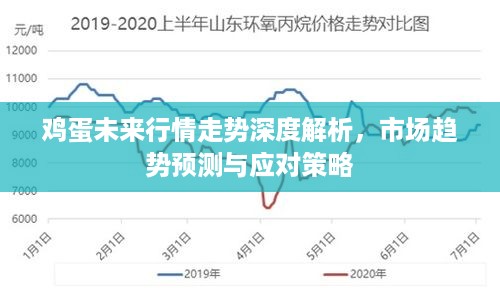 鸡蛋大涨最新消息，市场趋势分析与未来展望