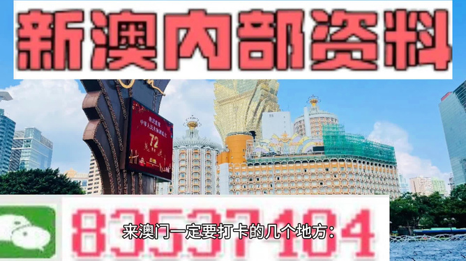 2024年新澳门王中王免费-精选解释解析落实