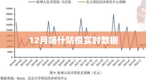 最新疫情报告，喀什地区的防控现状与应对措施