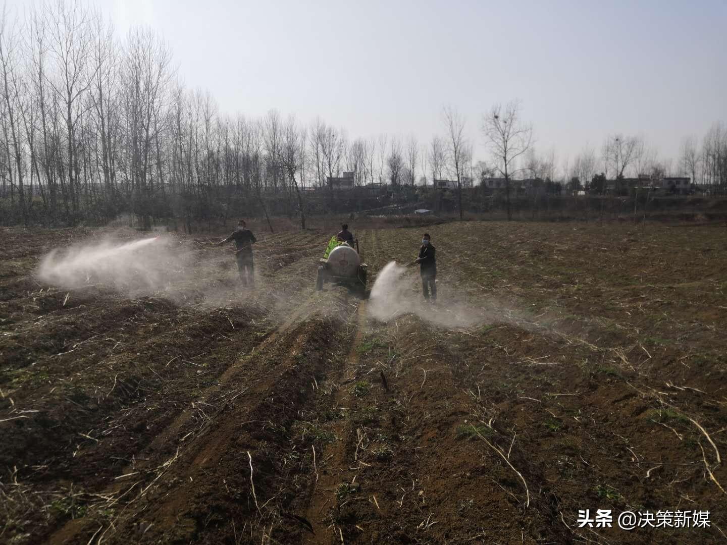 达懒最新消息，探索未来的无限可能